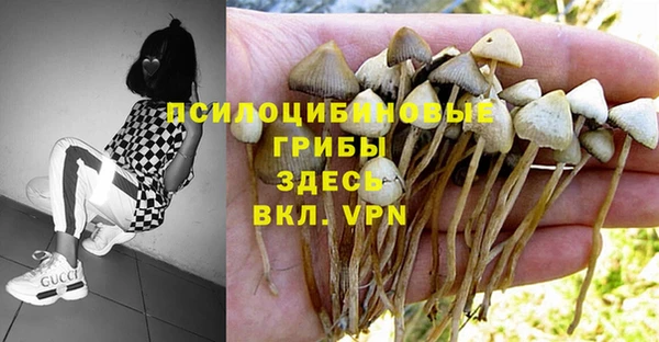 ешки Абаза