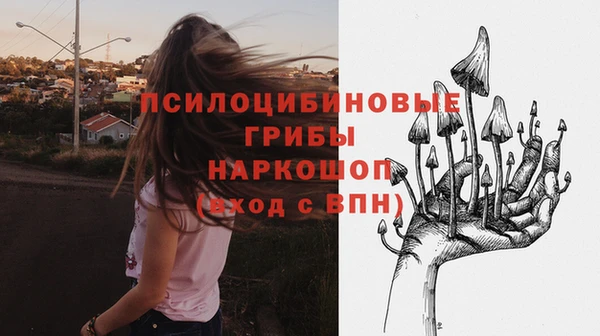 ешки Абаза