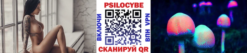 Галлюциногенные грибы Psilocybine cubensis Полярный